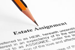 Estate Litigation