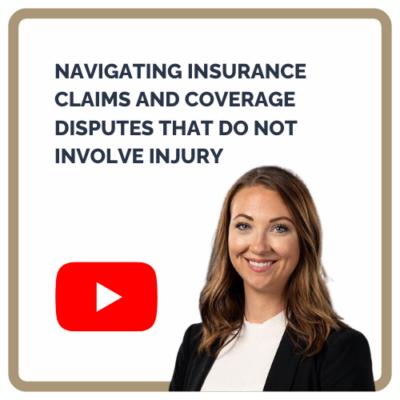Ins Dispute Thumb